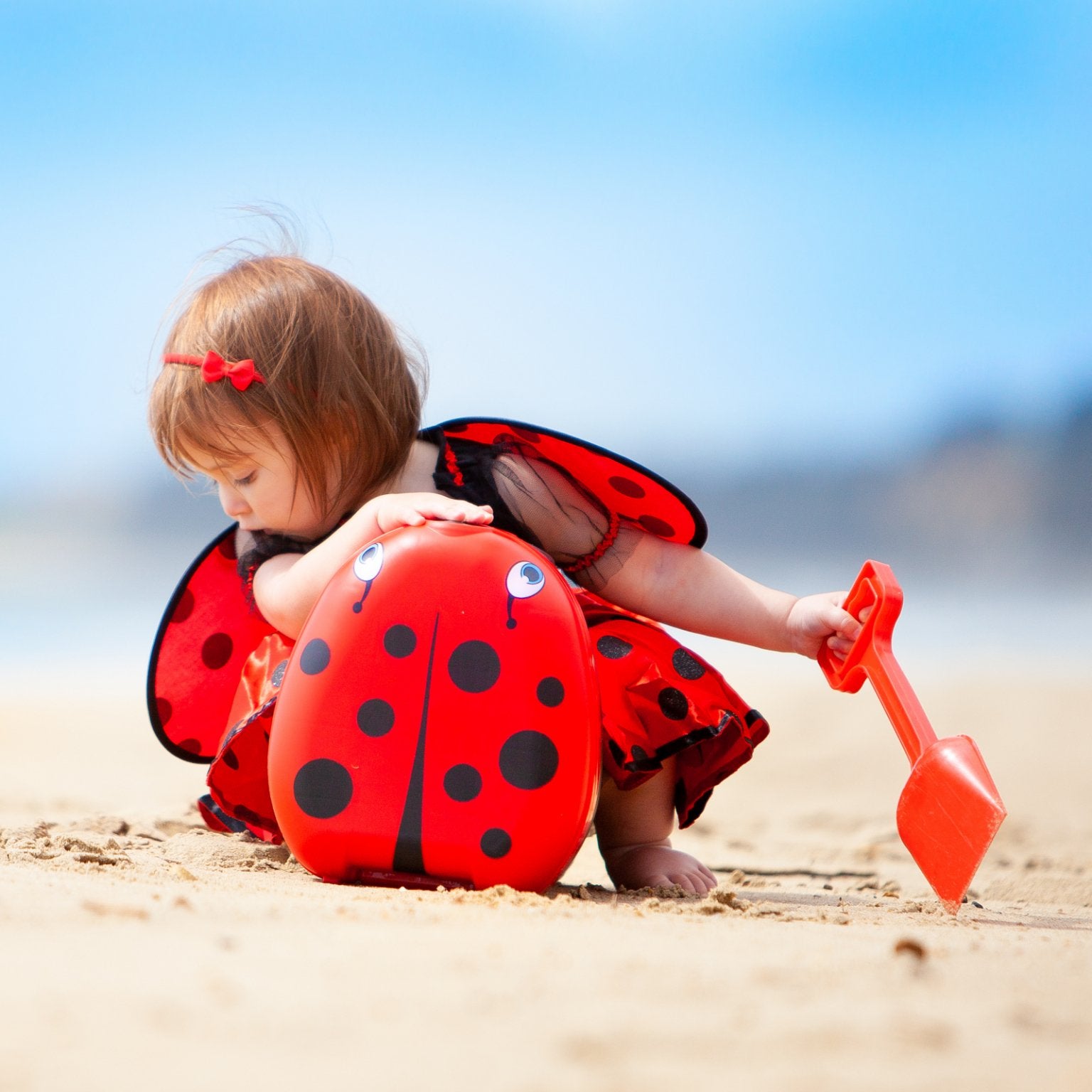 My Carry Potty Bundles Ladybird Reisetöpfchen + 3er Trainingshosen
