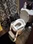 SKYROKU 8839 Toilettensitz mit Treppe Grau Doppelpedal